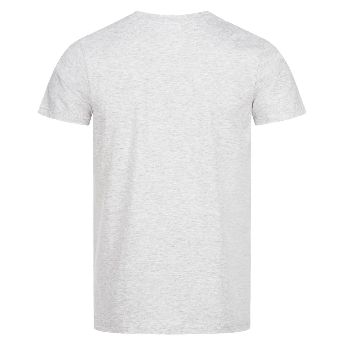 NITRAS MOTION TEX LIGHT, T-Shirt, hellgrau, OEKO-TEX NITRAS
